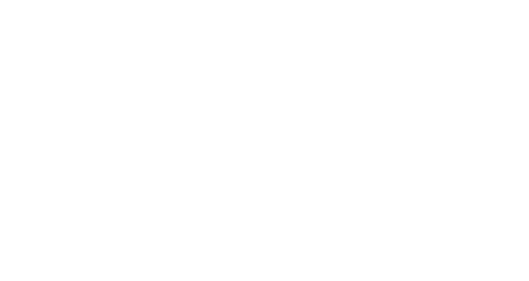 Skyview Akademi